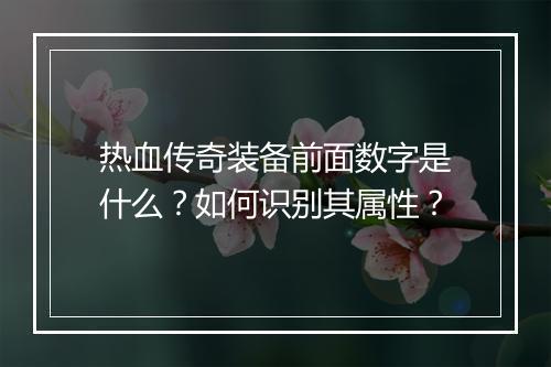 热血传奇装备前面数字是什么？如何识别其属性？