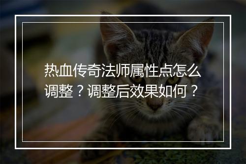 热血传奇法师属性点怎么调整？调整后效果如何？