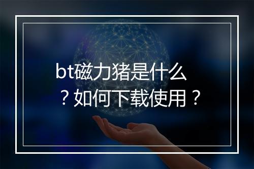 bt磁力猪是什么？如何下载使用？