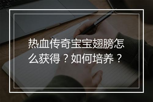 热血传奇宝宝翅膀怎么获得？如何培养？