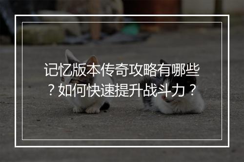 记忆版本传奇攻略有哪些？如何快速提升战斗力？