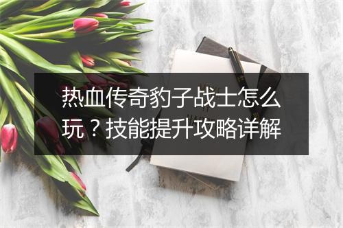 热血传奇豹子战士怎么玩？技能提升攻略详解