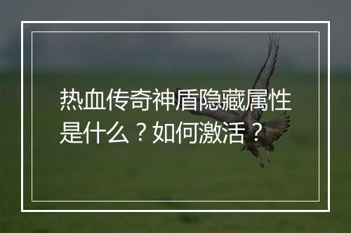 热血传奇神盾隐藏属性是什么？如何激活？