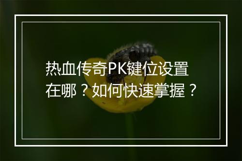 热血传奇PK键位设置在哪？如何快速掌握？