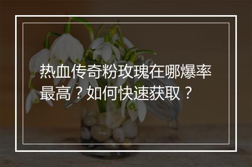 热血传奇粉玫瑰在哪爆率最高？如何快速获取？
