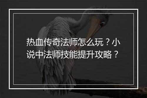 热血传奇法师怎么玩？小说中法师技能提升攻略？