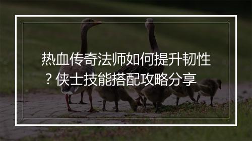 热血传奇法师如何提升韧性？侠士技能搭配攻略分享