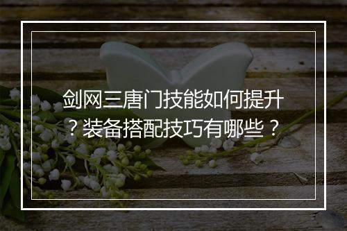剑网三唐门技能如何提升？装备搭配技巧有哪些？