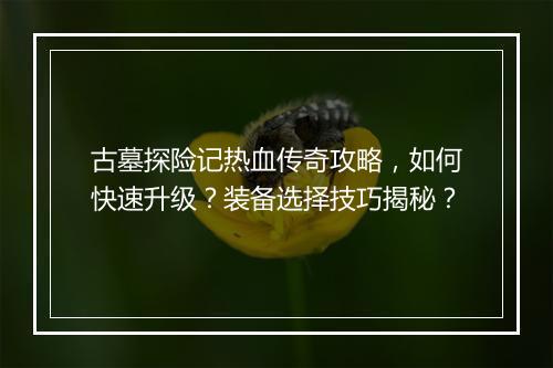古墓探险记热血传奇攻略，如何快速升级？装备选择技巧揭秘？