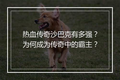 热血传奇沙巴克有多强？为何成为传奇中的霸主？