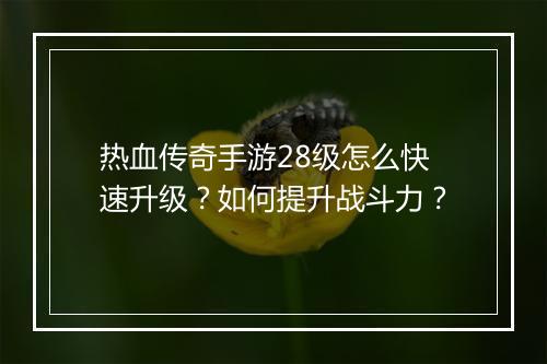 热血传奇手游28级怎么快速升级？如何提升战斗力？