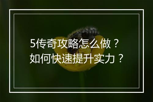 5传奇攻略怎么做?如何快速提升实力?