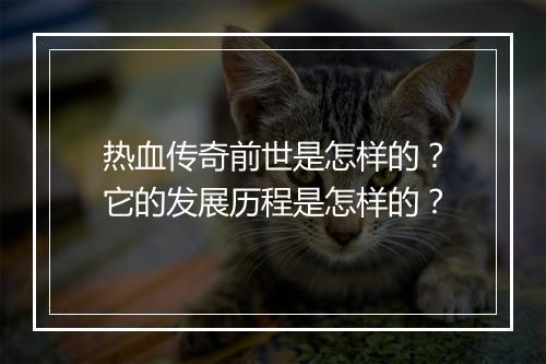 热血传奇前世是怎样的？它的发展历程是怎样的？