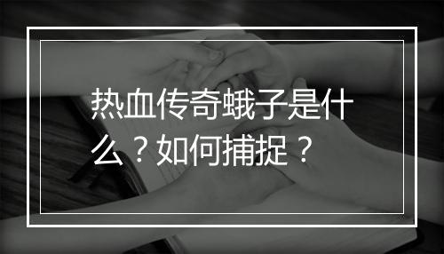 热血传奇蛾子是什么？如何捕捉？