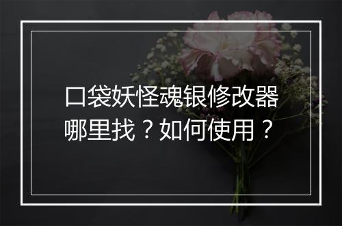 口袋妖怪魂银修改器哪里找？如何使用？