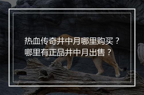 热血传奇井中月哪里购买？哪里有正品井中月出售？