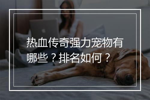 热血传奇强力宠物有哪些？排名如何？