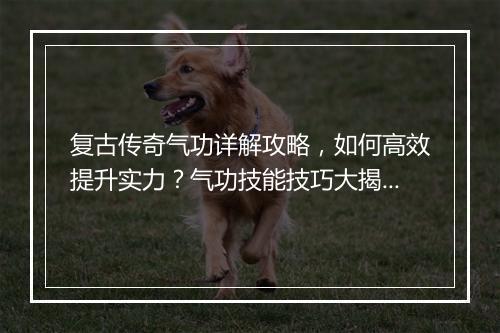 复古传奇气功详解攻略，如何高效提升实力？气功技能技巧大揭秘！