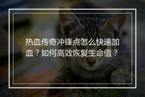 热血传奇冲锋点怎么快速加血？如何高效恢复生命值？