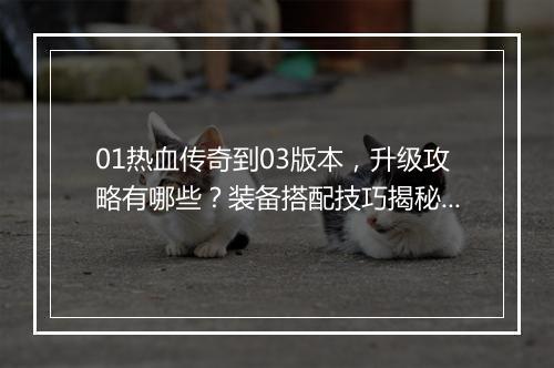 01热血传奇到03版本，升级攻略有哪些？装备搭配技巧揭秘？