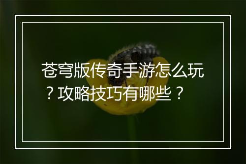 苍穹版传奇手游怎么玩？攻略技巧有哪些？