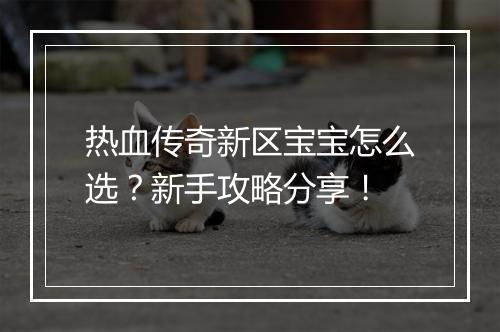 热血传奇新区宝宝怎么选？新手攻略分享！