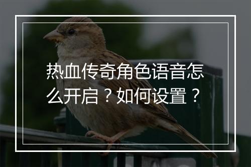 热血传奇角色语音怎么开启？如何设置？