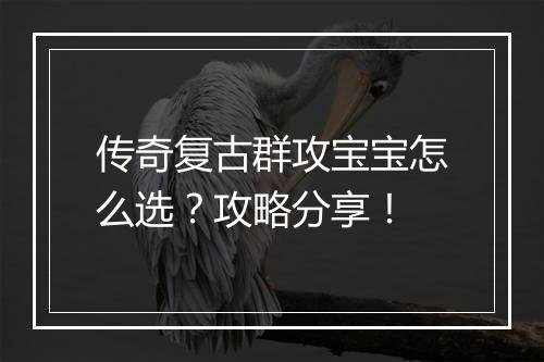 传奇复古群攻宝宝怎么选？攻略分享！