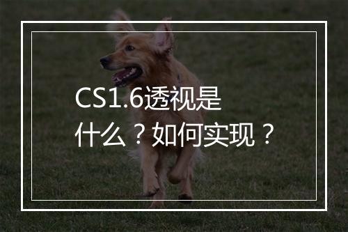 CS1.6透视是什么？如何实现？