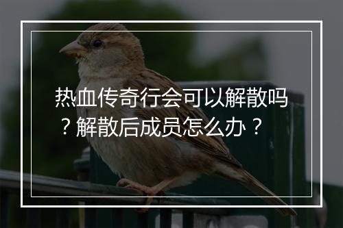 热血传奇行会可以解散吗？解散后成员怎么办？