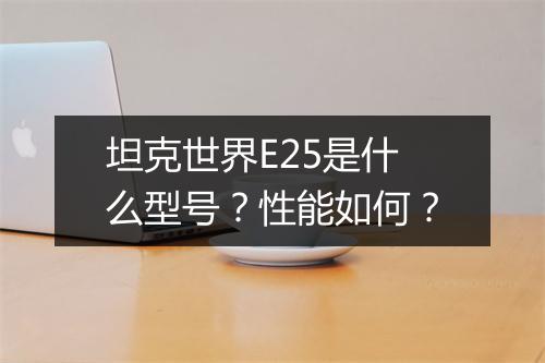 坦克世界E25是什么型号？性能如何？