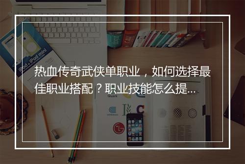 热血传奇武侠单职业，如何选择最佳职业搭配？职业技能怎么提升？