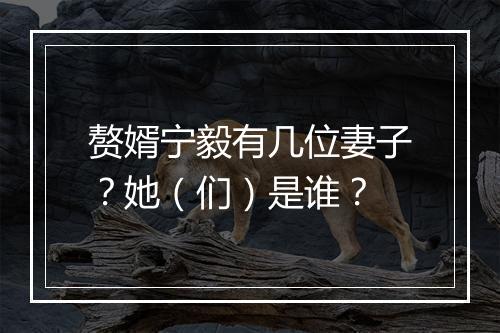 赘婿宁毅有几位妻子？她（们）是谁？