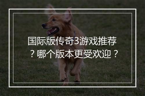 国际版传奇3游戏推荐？哪个版本更受欢迎？