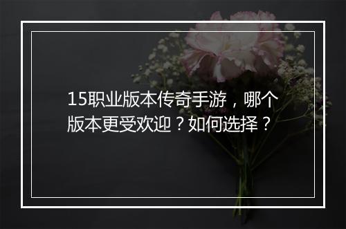15职业版本传奇手游，哪个版本更受欢迎？如何选择？