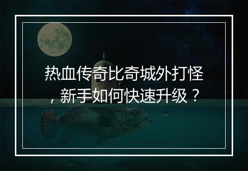 热血传奇比奇城外打怪，新手如何快速升级？