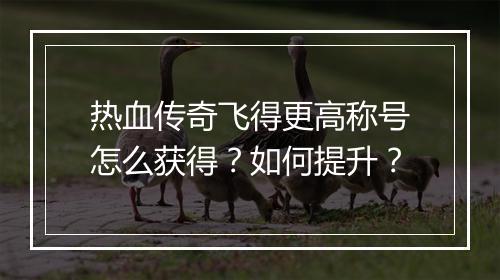 热血传奇飞得更高称号怎么获得？如何提升？