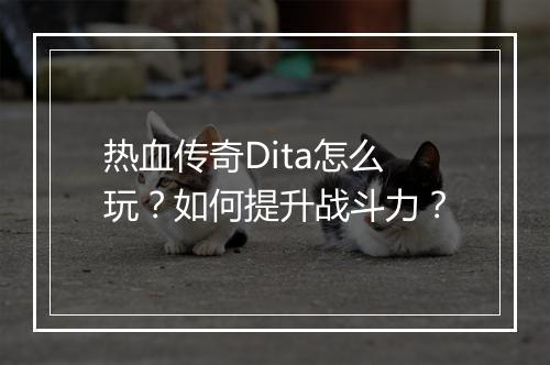 热血传奇Dita怎么玩？如何提升战斗力？