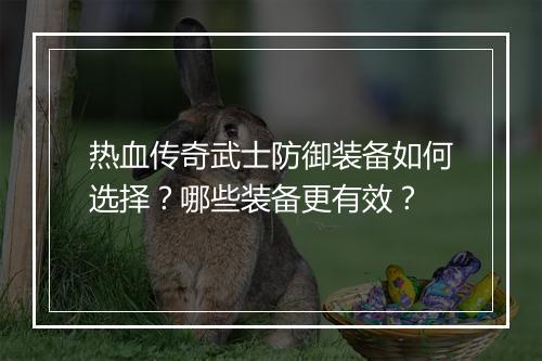 热血传奇武士防御装备如何选择？哪些装备更有效？