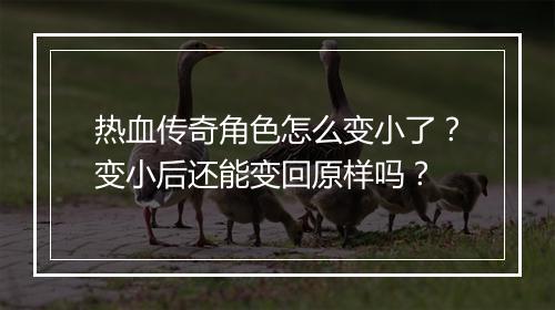 热血传奇角色怎么变小了？变小后还能变回原样吗？