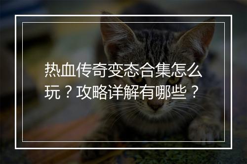热血传奇变态合集怎么玩？攻略详解有哪些？