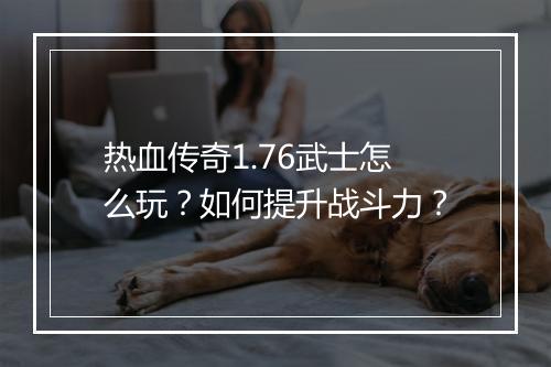 热血传奇1.76武士怎么玩？如何提升战斗力？