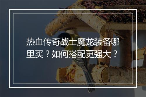 热血传奇战士魔龙装备哪里买？如何搭配更强大？