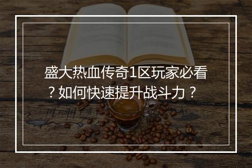 盛大热血传奇1区玩家必看？如何快速提升战斗力？