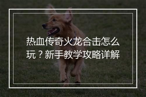热血传奇火龙合击怎么玩？新手教学攻略详解