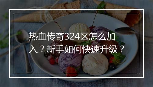 热血传奇324区怎么加入？新手如何快速升级？