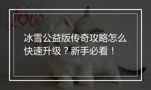 冰雪公益版传奇攻略怎么快速升级？新手必看！