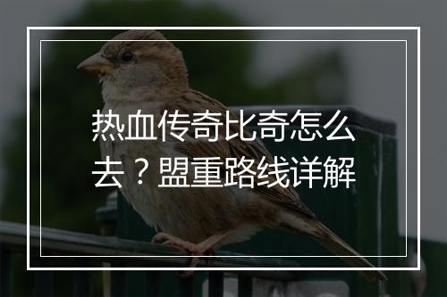 热血传奇比奇怎么去？盟重路线详解