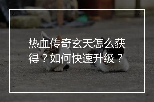 热血传奇玄天怎么获得？如何快速升级？