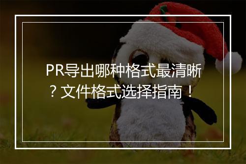 PR导出哪种格式最清晰？文件格式选择指南！